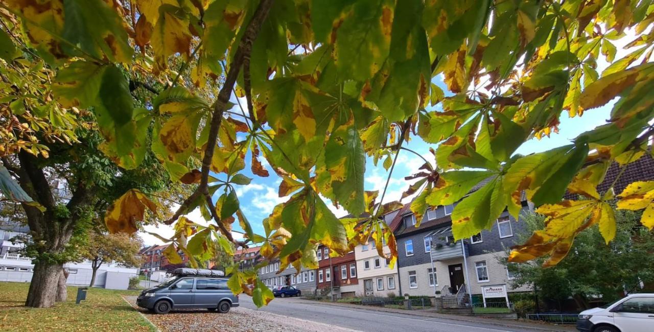 Appartamento Kastanienblick Sankt Andreasberg Esterno foto