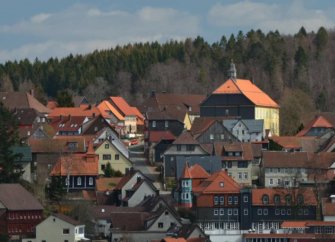 Appartamento Kastanienblick Sankt Andreasberg Esterno foto